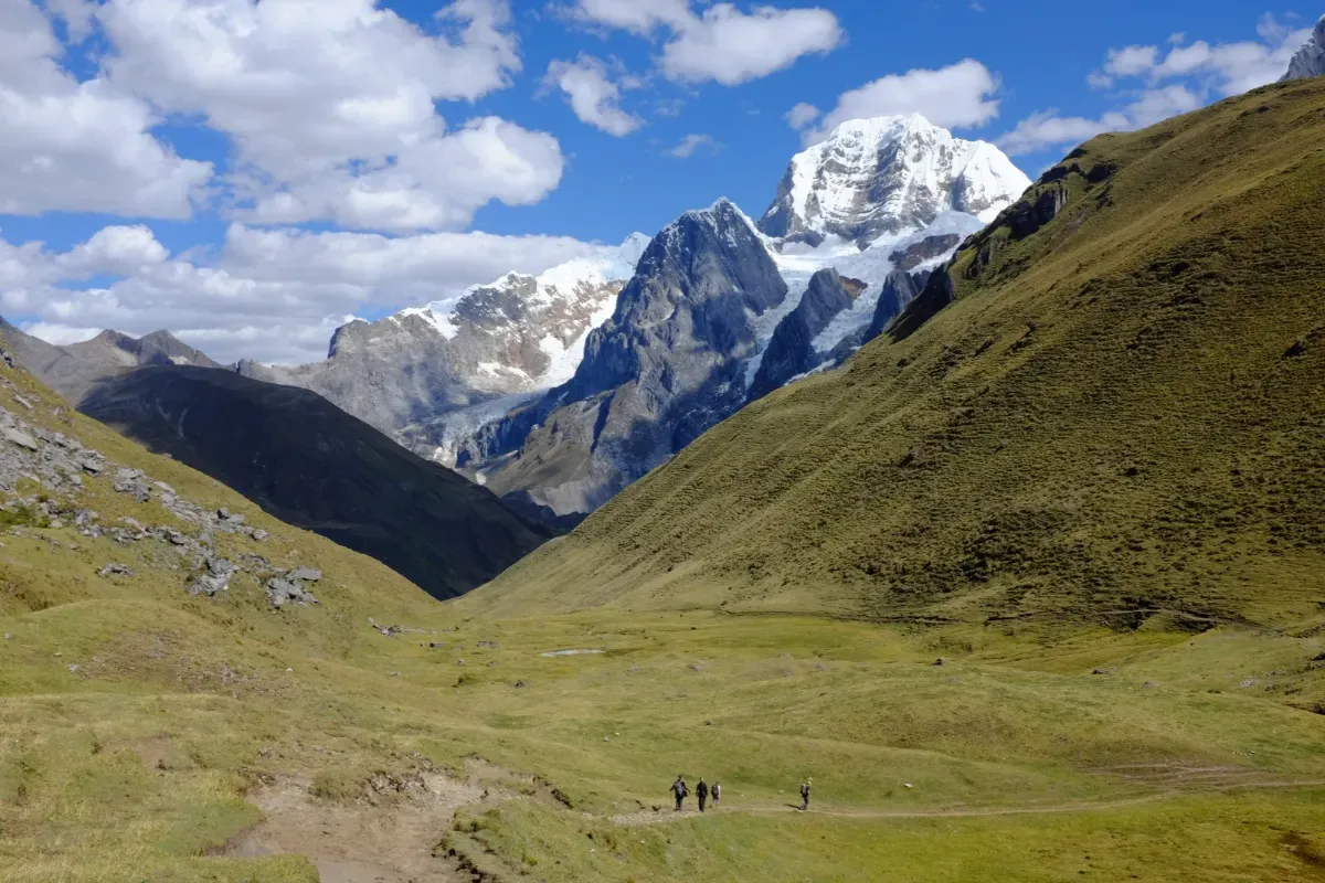 Trekkers walking up a green valley towards a snow-capped peak