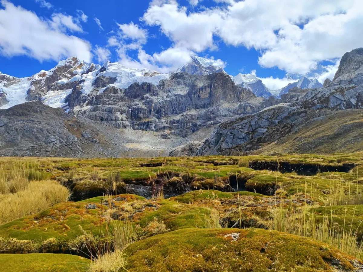 High-altitude wetland and ichu grass in front of the mountains